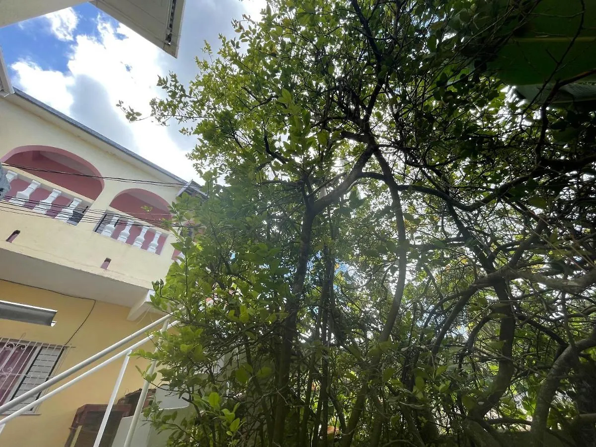 Little Shaw Park Guest House Очо-Риос