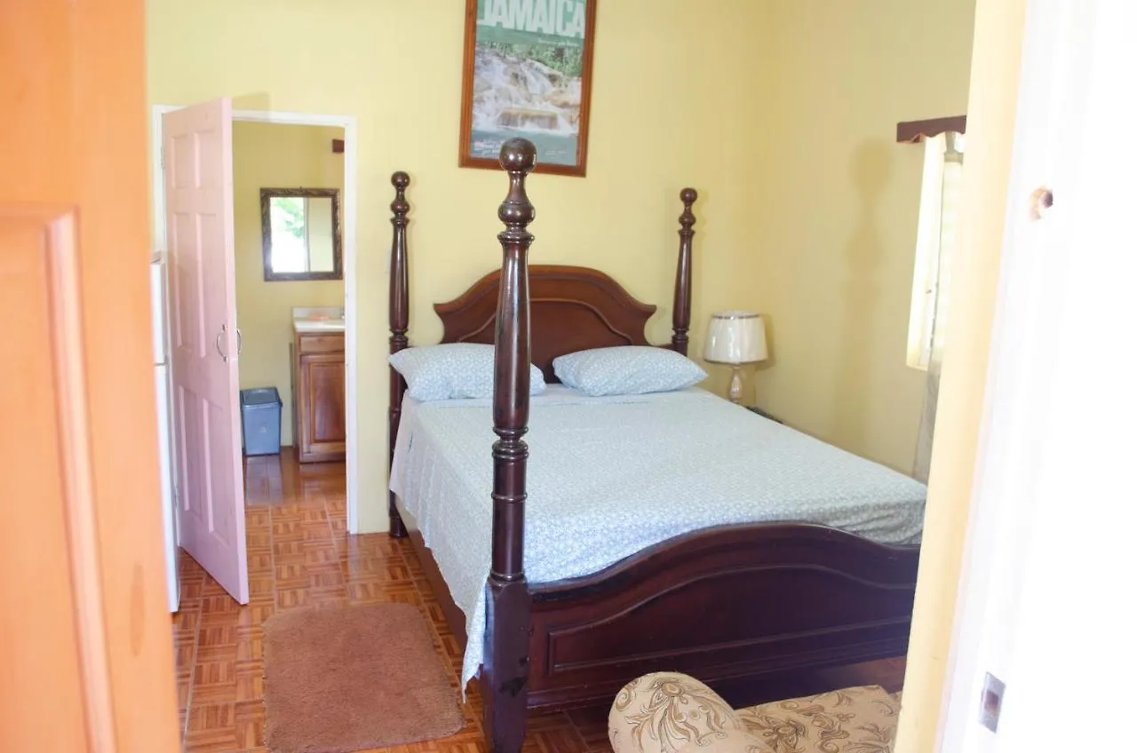 Little Shaw Park Guest House Ocho Rios