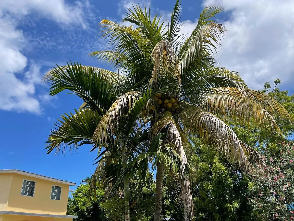 Little Shaw Park Guest House Ocho Rios