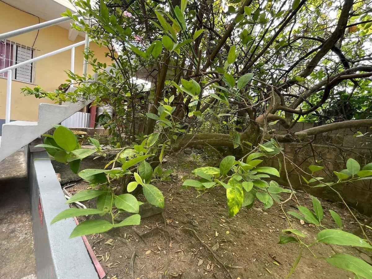 Little Shaw Park Guest House Ocho Rios