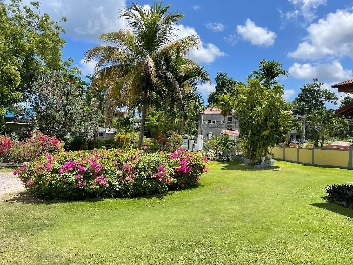 Little Shaw Park Guest House Ocho Rios 2*,
